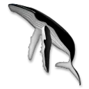 Whale