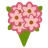꽃다발