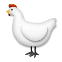 鸡