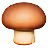 Brown Mushroom