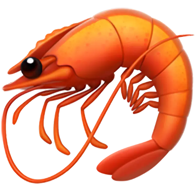 Shrimp