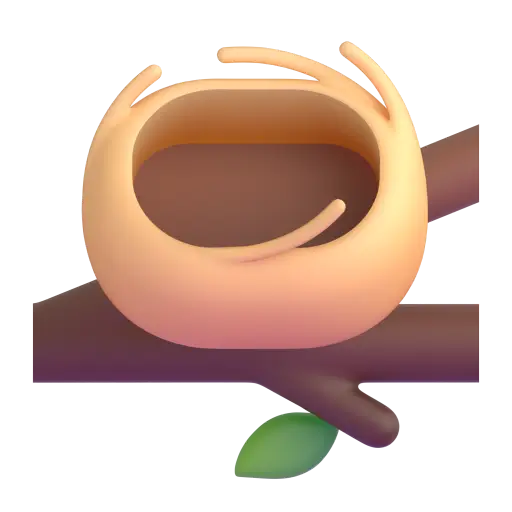 空巢