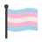 Transgender Flag