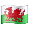 Flag: Wales Emoji 🏴󠁧󠁢󠁷󠁬󠁳󠁿 image - Samsung style