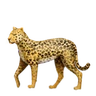 Leopardo Emoji 🐆 image - Huawei Harmony OS style