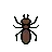 蟻