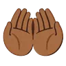 Palms Up Together: Medium-Dark Skin Tone Emoji 🤲🏾 image - Google Noto Color Animated style