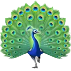 Pfau
