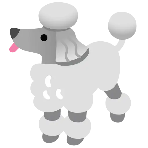 贵宾犬