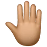 Raised Back Of Hand: Medium Skin Tone Emoji 🤚🏽 image - Samsung style