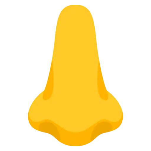 鼻子
