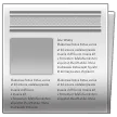 Newspaper