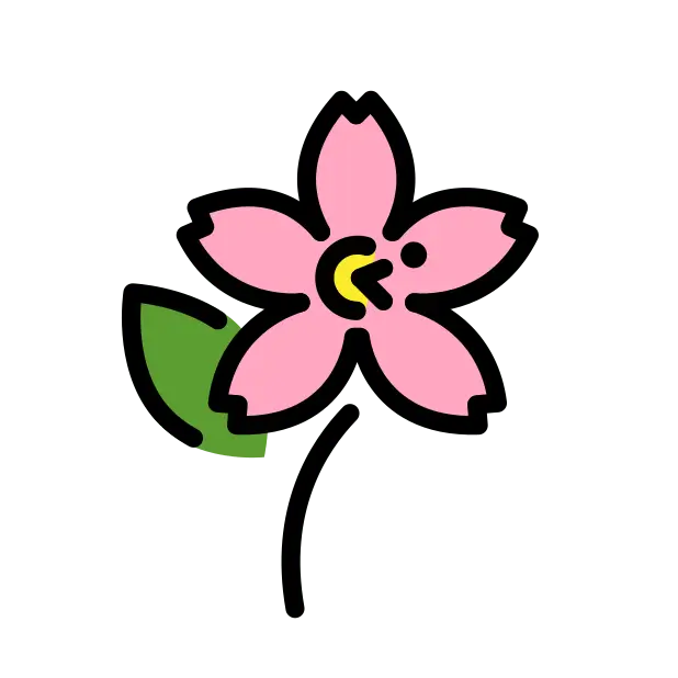 Cherry Blossom