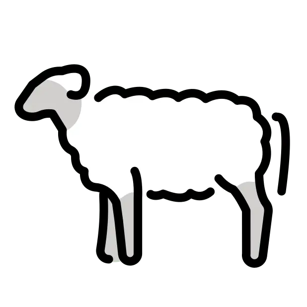 Schaf
