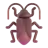 Cockroach