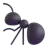 Ant
