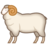 램