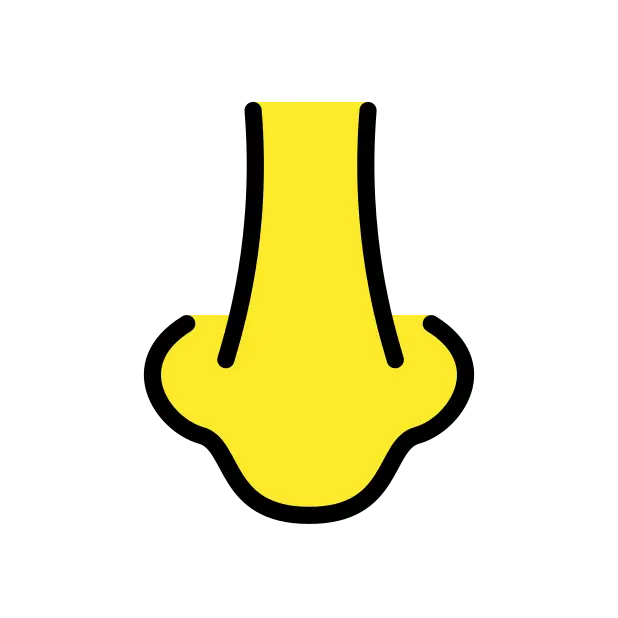 鼻子
