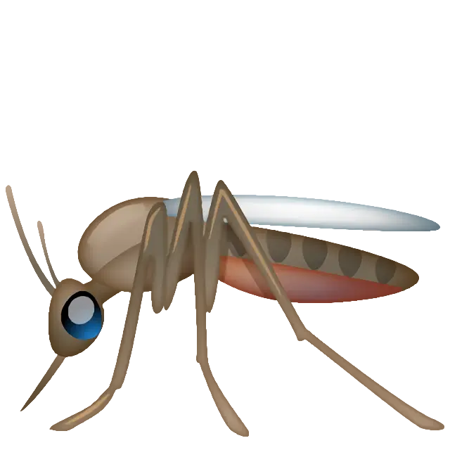 Mosquito