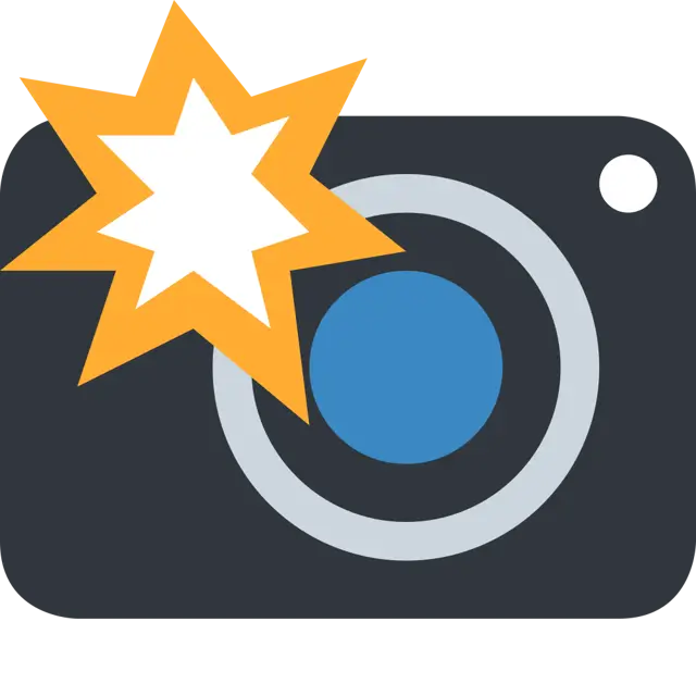 Camera With Flash