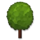 Árbol de hoja caduca