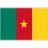 Flag: Cameroon