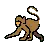 モンキー