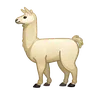 骆驼