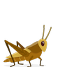 クリケット Emoji 🦗 image - Skype style