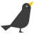 Black Bird