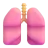 Lungs