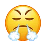 Face With Steam From Nose