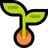 모
