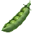 エンドウ豆