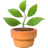 화분