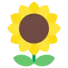 Tournesol Emoji 🌻 image - Tossface style