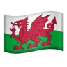 Flag: Wales Emoji 🏴󠁧󠁢󠁷󠁬󠁳󠁿 image - Apple style