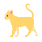 Kot