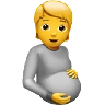 Pregnant Person