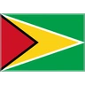 Flag: Guyana Emoji 🇬🇾 image - Skype style