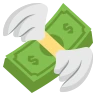 Emoji Soldi con le ali 💸 image - EmojiTwo style