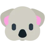 Coala
