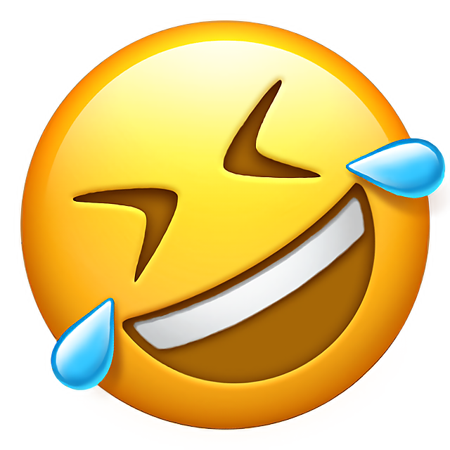 바보의 하루