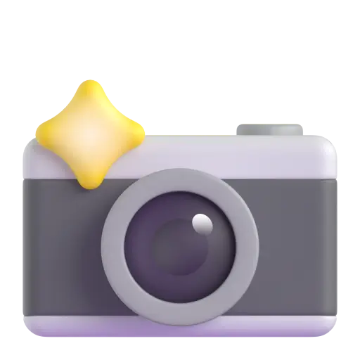 Camera With Flash
