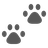 Paw Prints