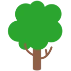 Árbol de hoja caduca