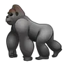 Gorilla