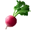 根菜類