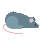 Ratte