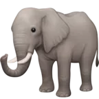 象